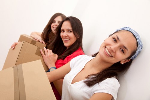 Cost-effective and reliable van transportation with expert drivers