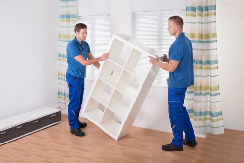 Image of professional movers handling a moving truck